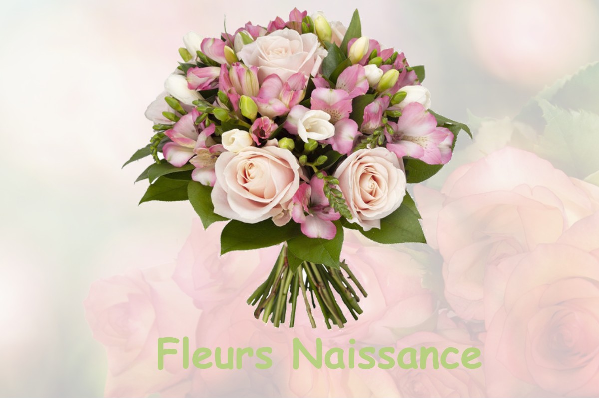 fleurs naissance ASNIERES-LA-GIRAUD